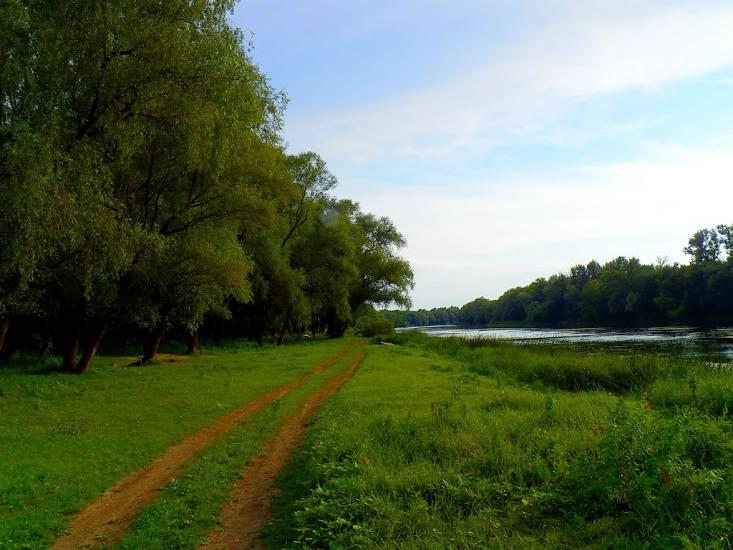 Жовте з panoramio.com - Желтое
