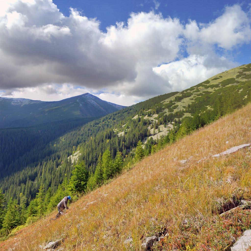 Гриньків з panoramio.com - Grynkiv