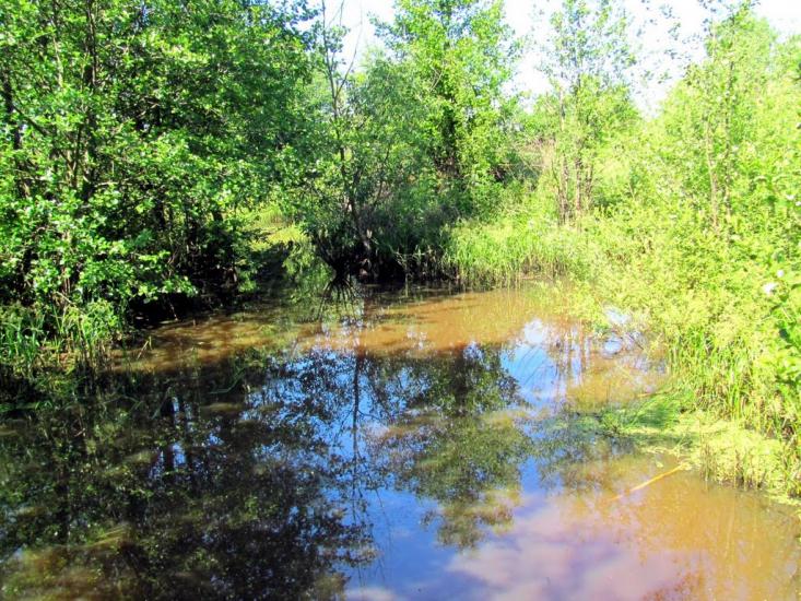 Чаква з panoramio.com - Чаква