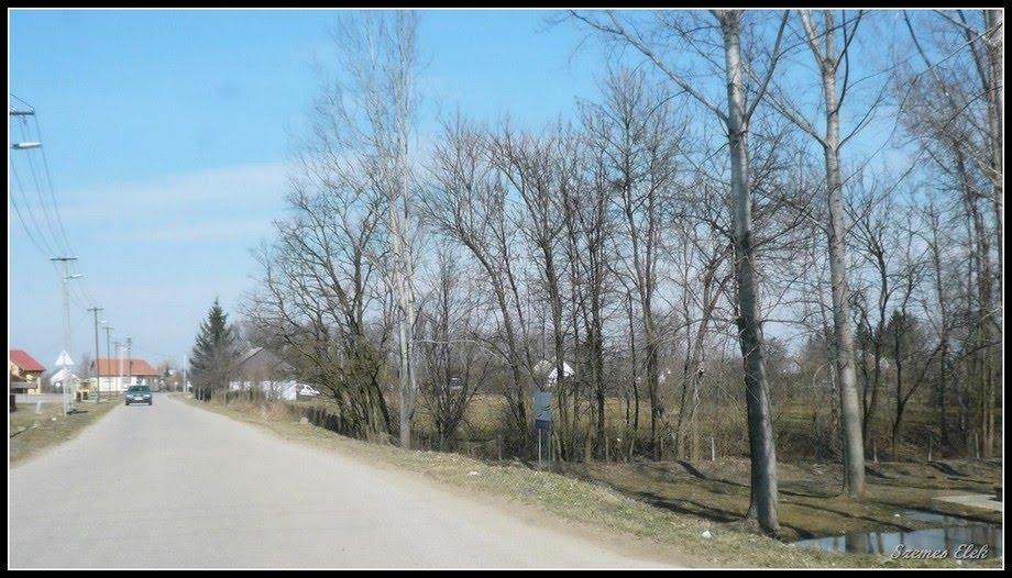Вари з panoramio.com - Вари