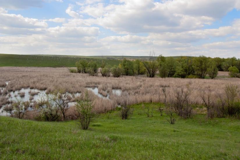 Вахрушеве з panoramio.com - Вахрушево