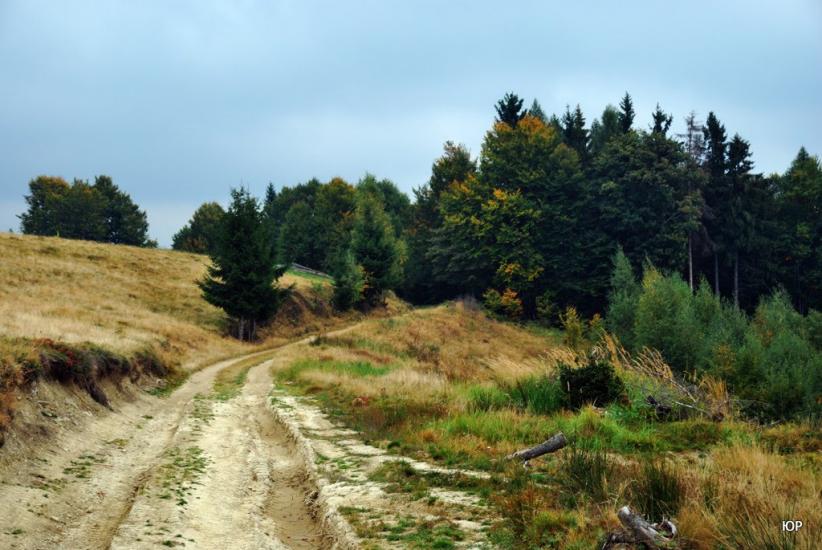 Суха з panoramio.com - Сухая