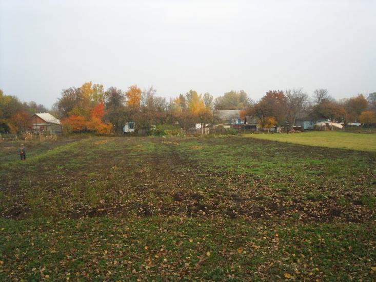 Теліжинці з panoramio.com - Тележинцы