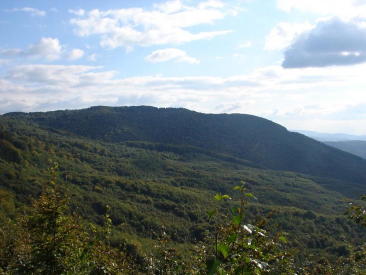 Стричава з panoramio.com - Стричава