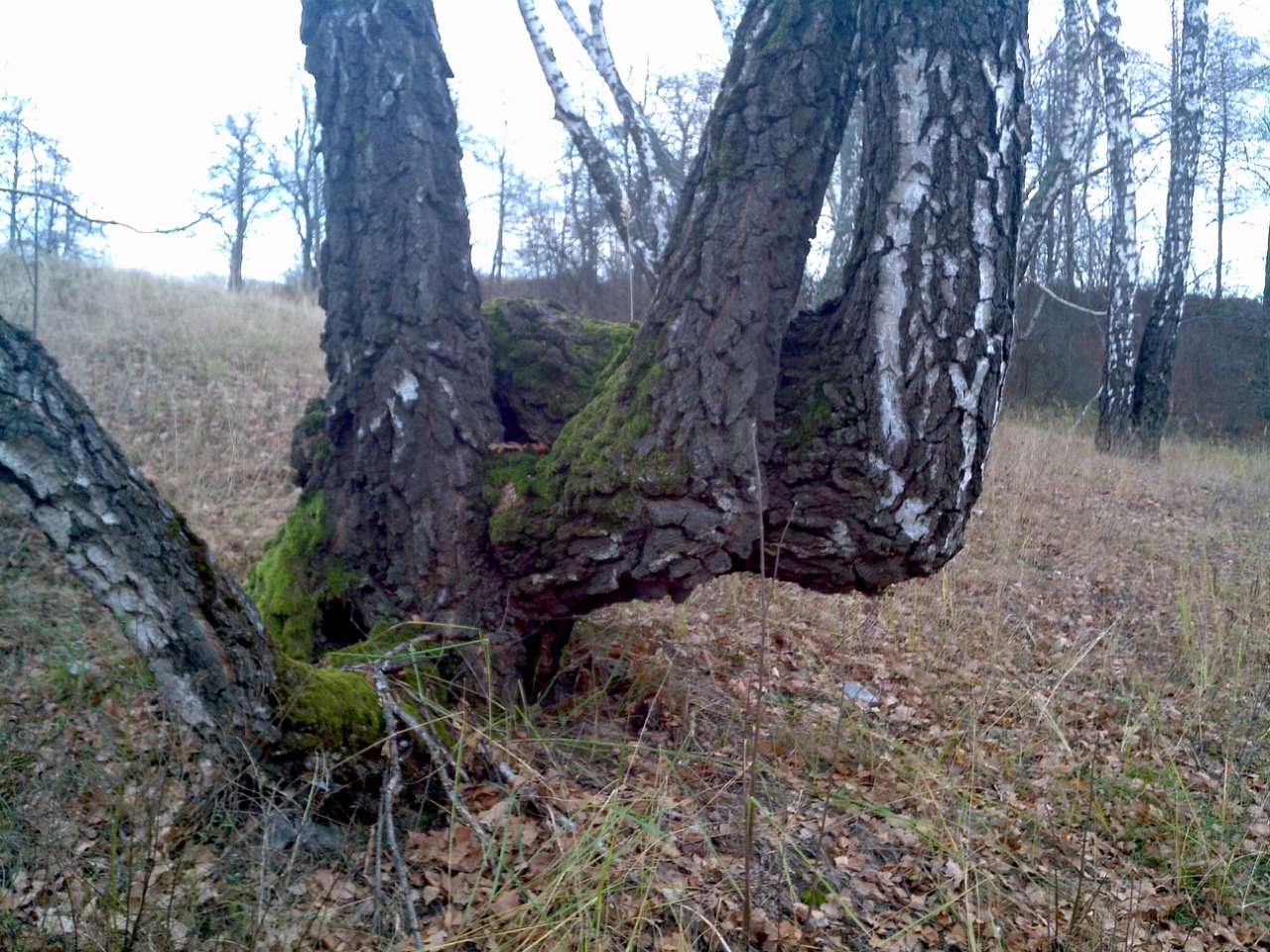 Городище - Городец