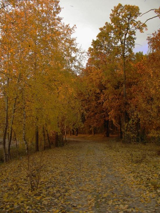 Коженики з panoramio.com - Коженики