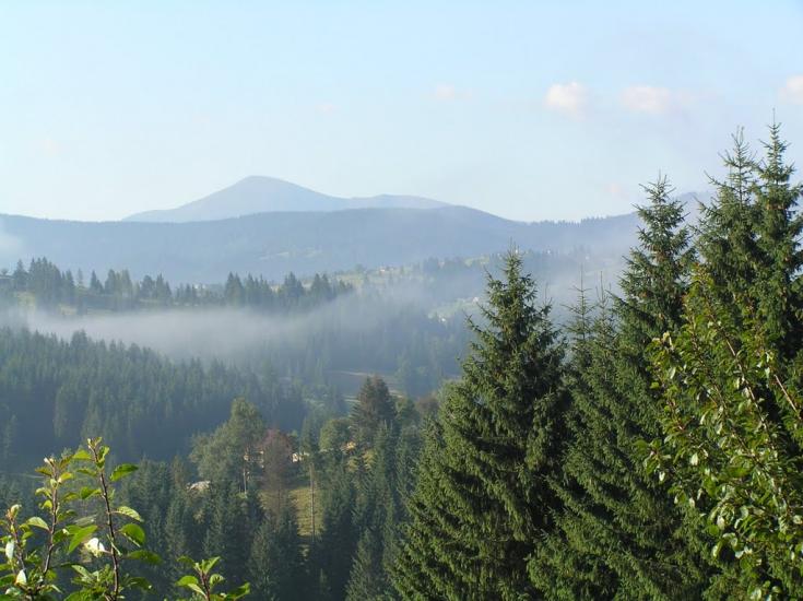 Вороненко з panoramio.com - Voronenko