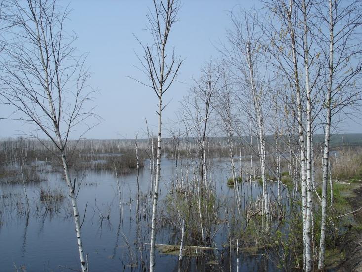 Ірдинь з panoramio.com - Ирдынь