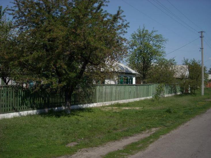 Святилівка з panoramio.com - Святиловка