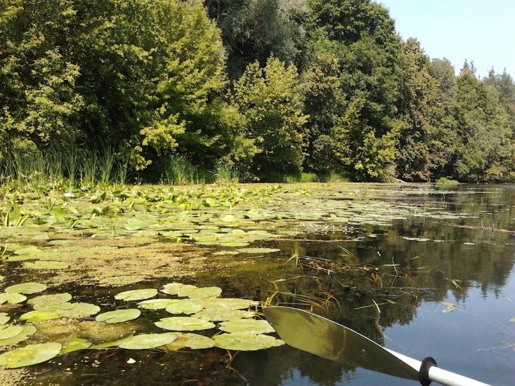 Межиріч з panoramio.com - Mezhyrich