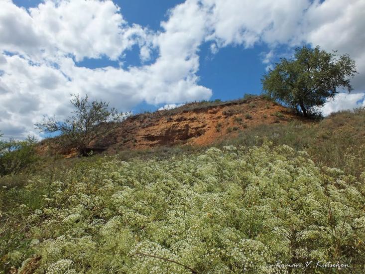 Придніпровське з panoramio.com - Придніпровське