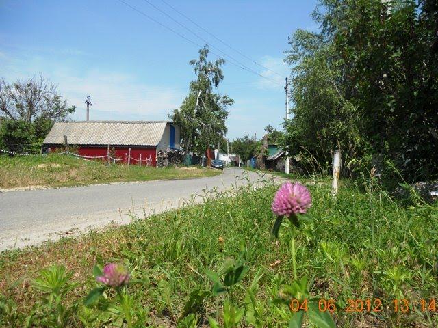 Пухівка з panoramio.com - Пухівка