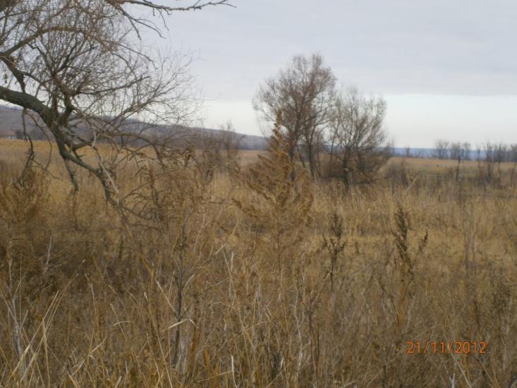 Колядівка з panoramio.com - Колядовка
