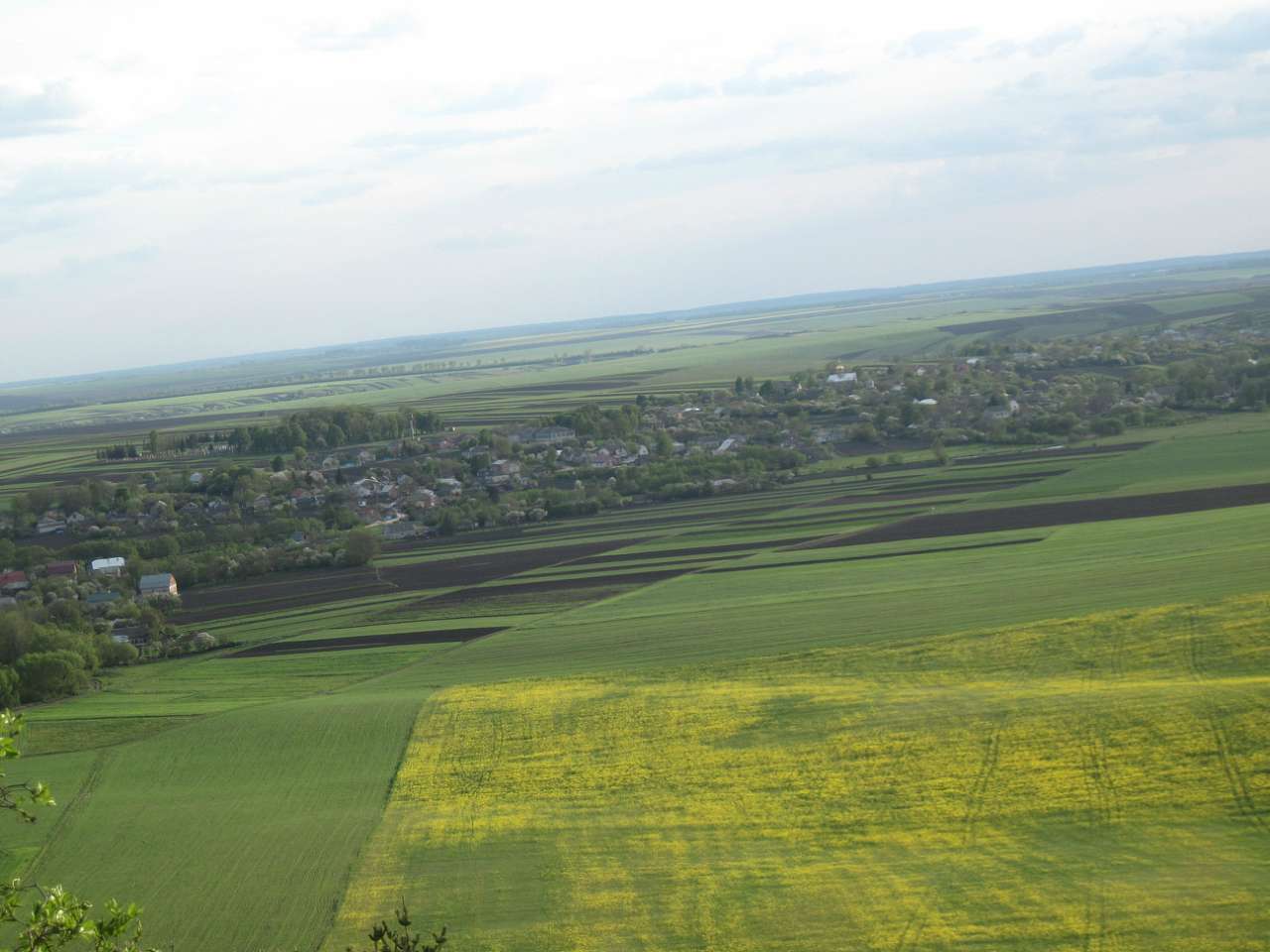Медобори - Вікно