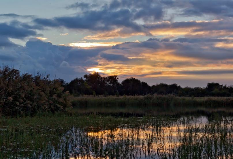 Чапаєвка з panoramio.com - Чапаевка