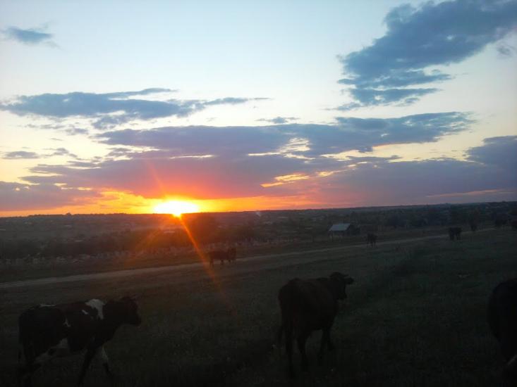 Калчева з panoramio.com - Калчева