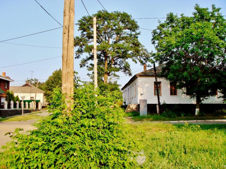Неморож з panoramio.com - Неморож