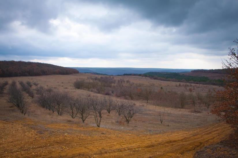 Верхньосадове з panoramio.com - Верхньосадове