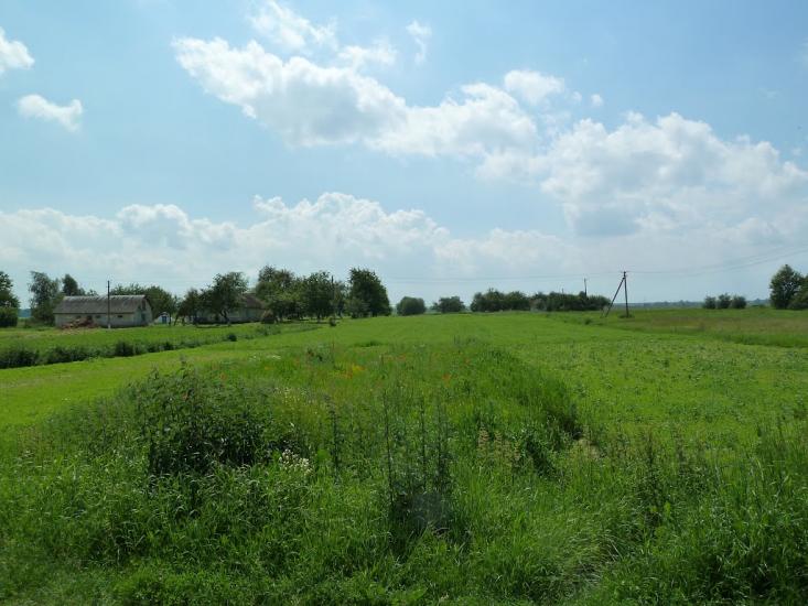 Кураж з panoramio.com - Кураж