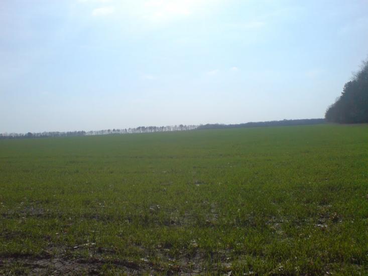 Новосілки з panoramio.com - Новосілки