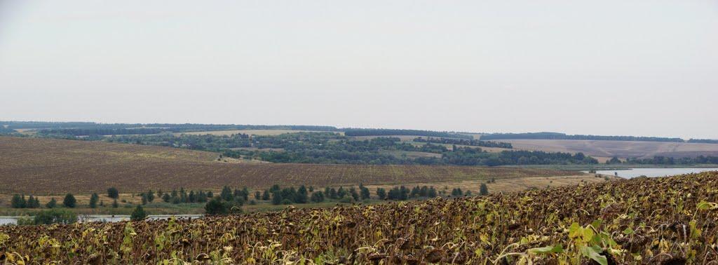 Тернівка з panoramio.com - Терновка