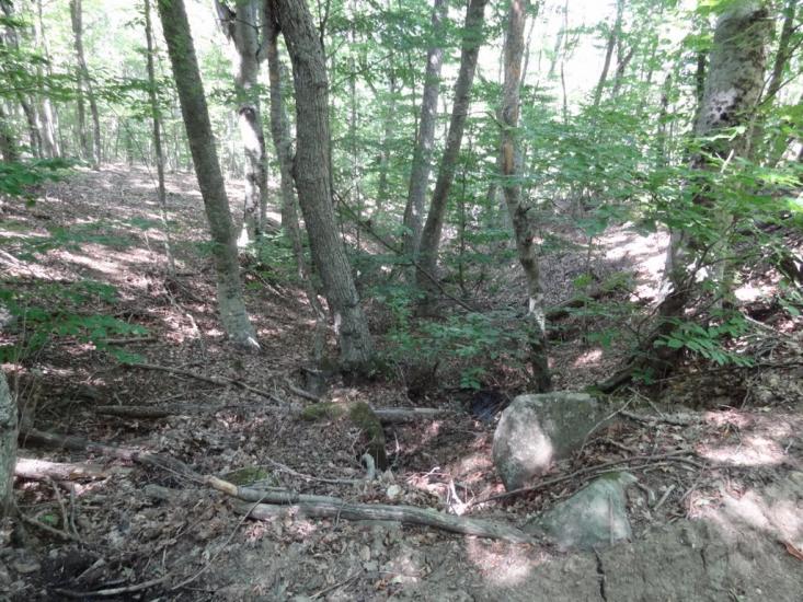 Виноградний з panoramio.com - Виноградний
