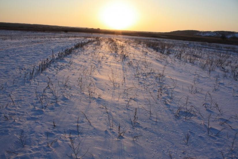 Піски-Удайські з panoramio.com - Пески-Удайские