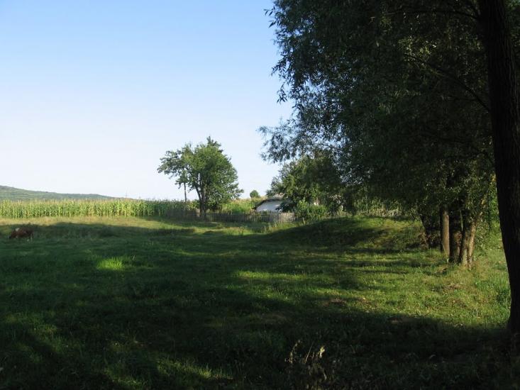 Тарасівці з panoramio.com - Тарасівці