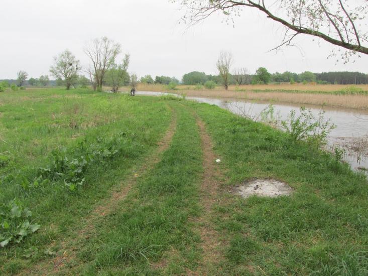 Дмитрівка з panoramio.com - Дмитрівка