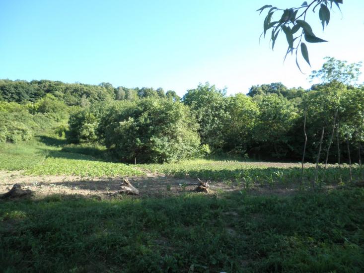 Піски-Удайські з panoramio.com - Пески-Удайские