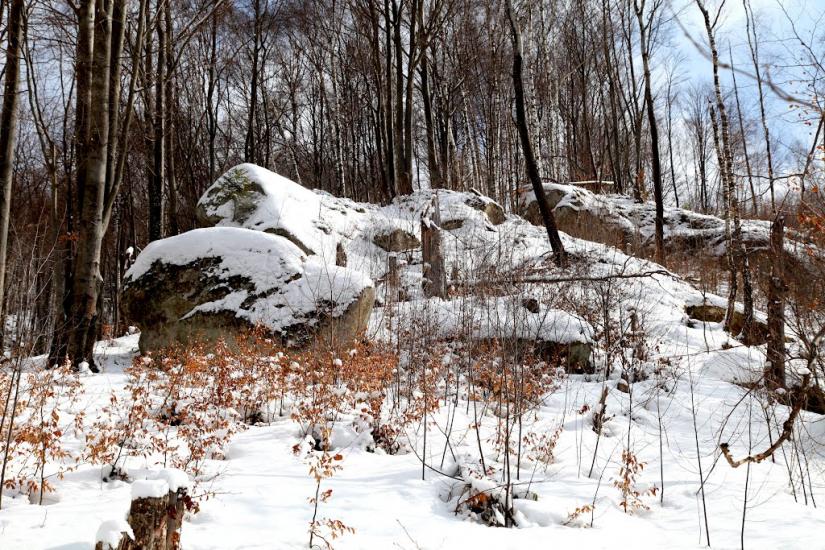 Орів з panoramio.com - Орів