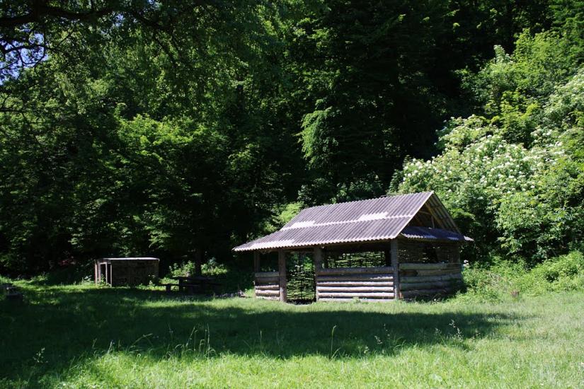 Хмелева з panoramio.com - Хмелевая