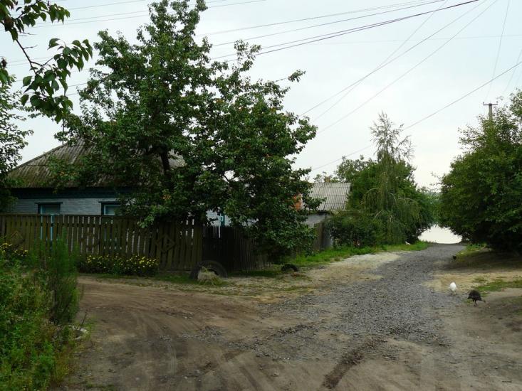 Протопопівка з panoramio.com - Protopopivka