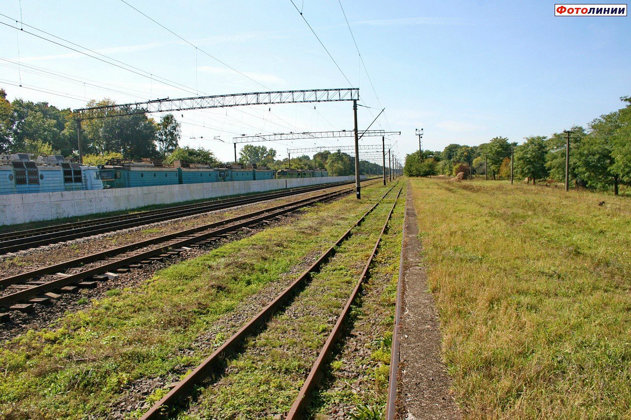 МШАНА - Мшана