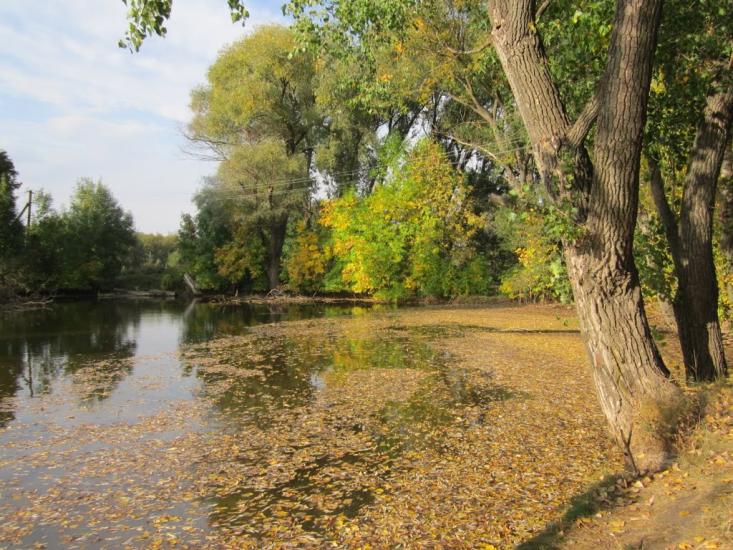 Гонтів Яр з panoramio.com - Гонтів Яр