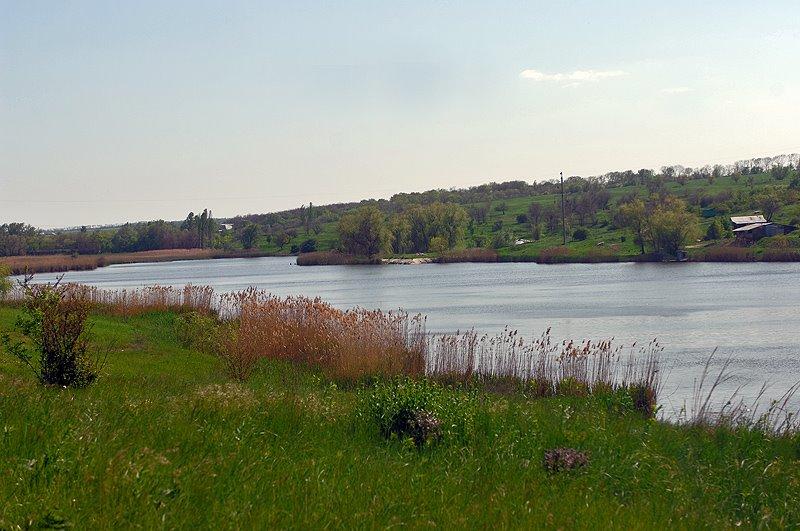 Суха Балка з panoramio.com - Суха Балка