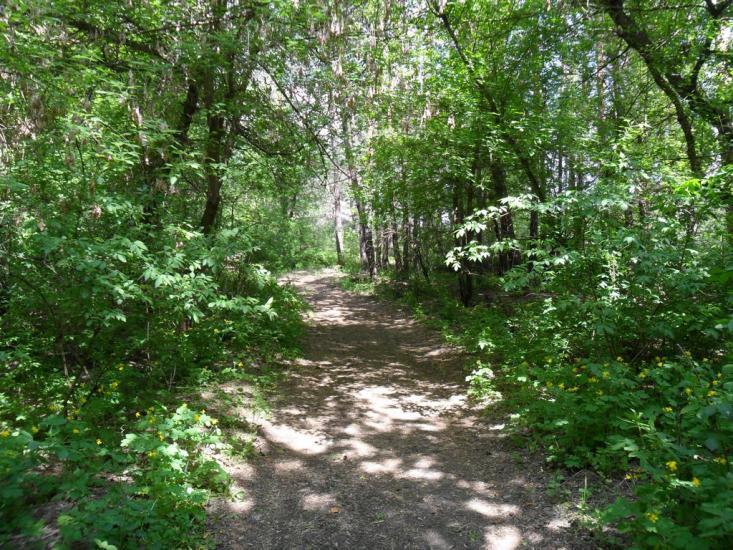 Стримівка з panoramio.com - Стримівка