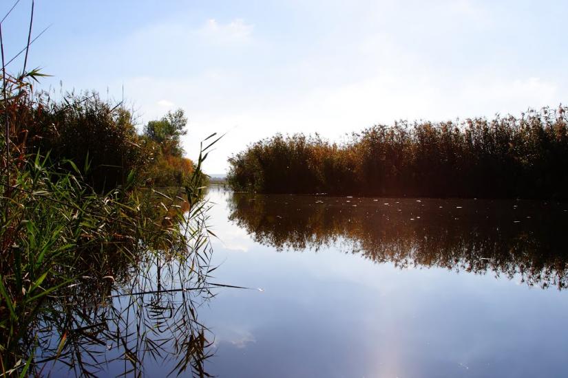 Красноармійське з panoramio.com - Красноармійське