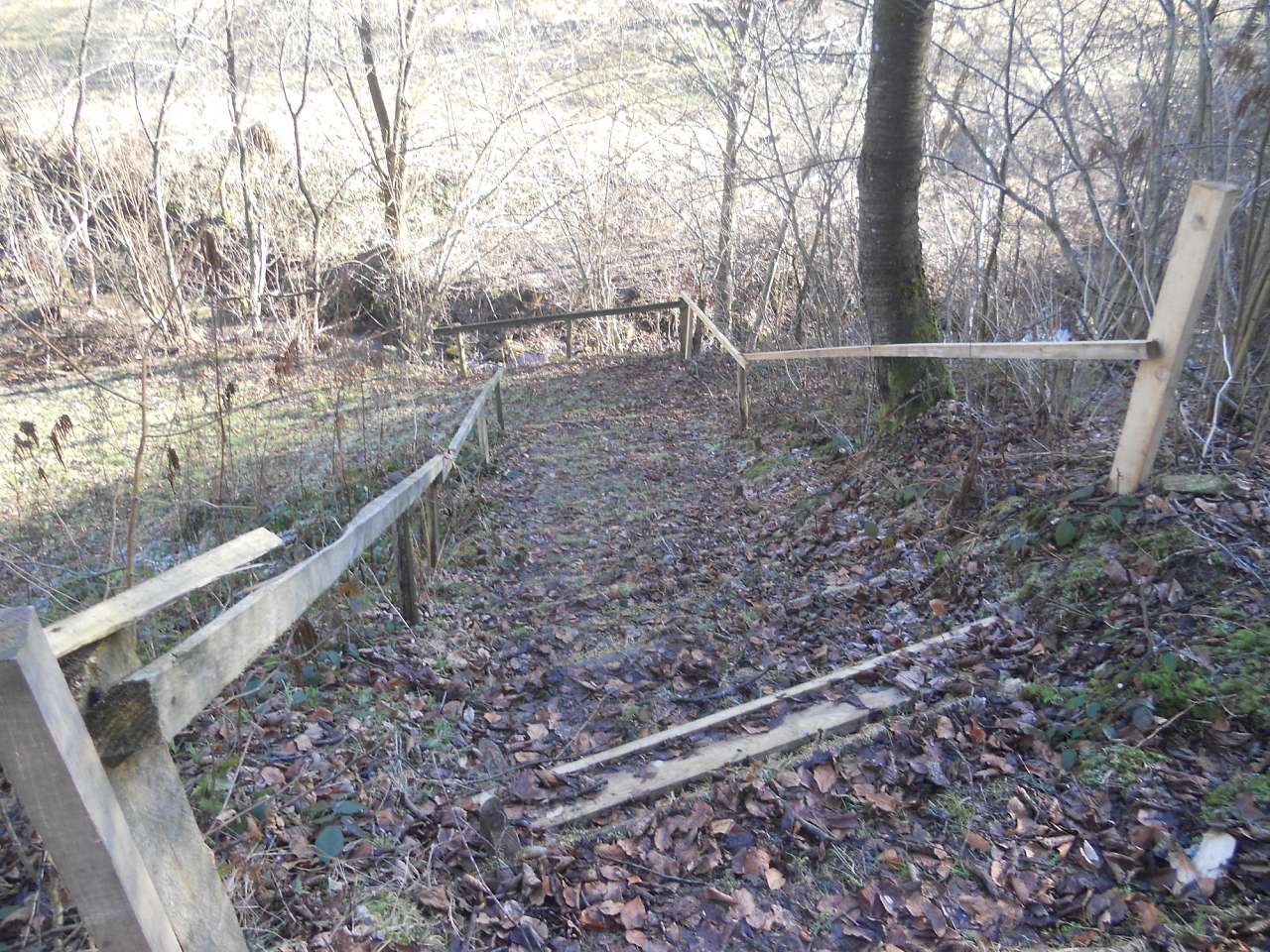 природа - Опака