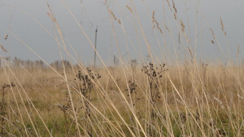 Гвоздиківка з panoramio.com - Гвоздиковка