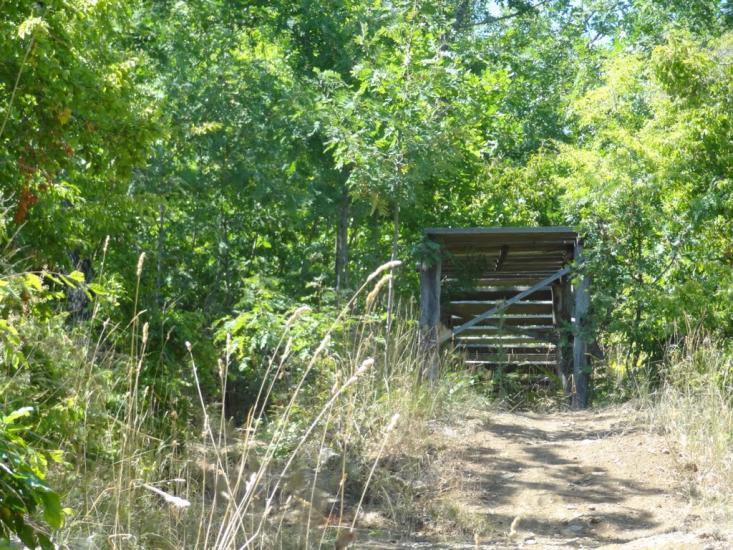 Виноградний з panoramio.com - Виноградний