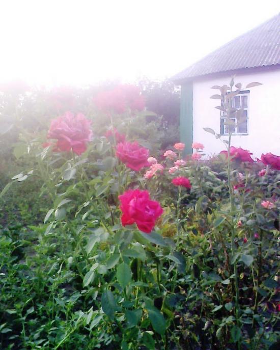 Фащівка з panoramio.com - Фащівка