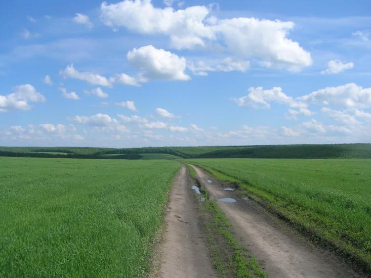 Салиха з panoramio.com - Салиха