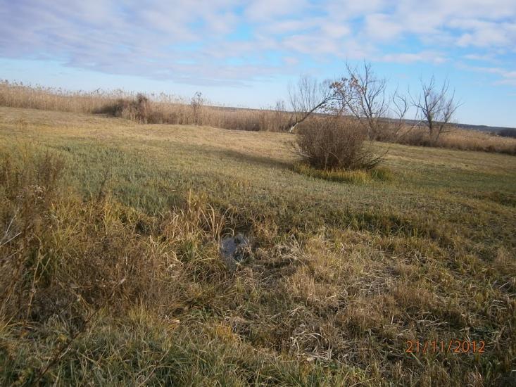 Колядівка з panoramio.com - Колядовка