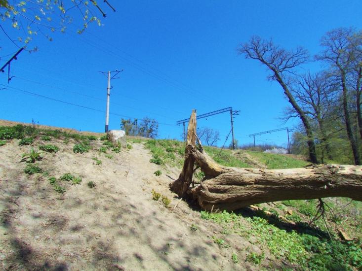 Бабаї з panoramio.com - Бабаи