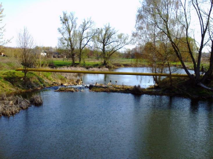 Брусилів з panoramio.com - Брусилов