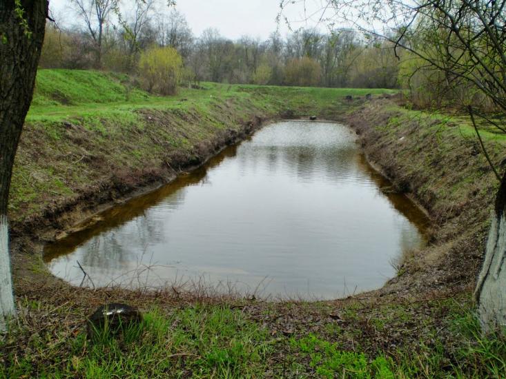 Новосеменівка з panoramio.com - Новосеменівка