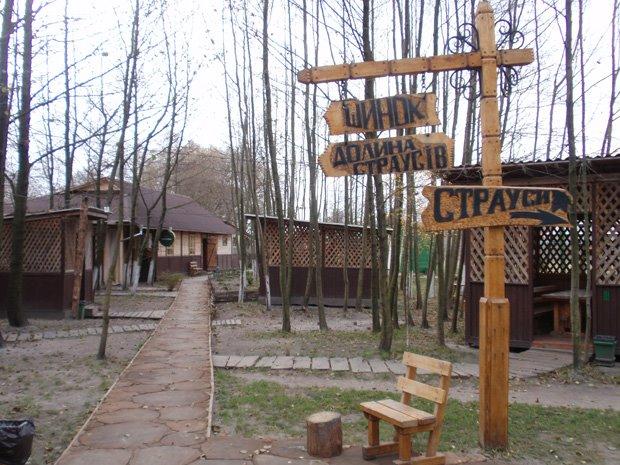 Ясногородка з panoramio.com - Ясногородка