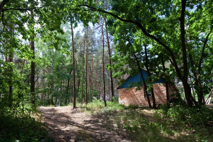 Ліпляве з panoramio.com - Лепляво