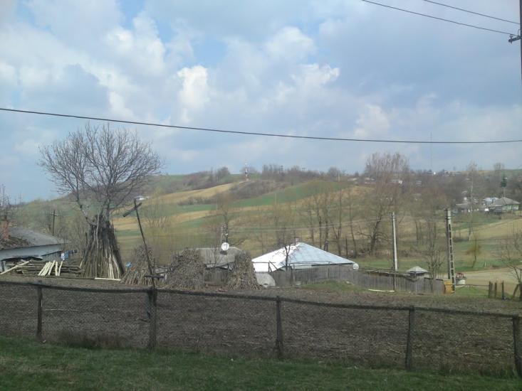 Тарасівці з panoramio.com - Тарасівці